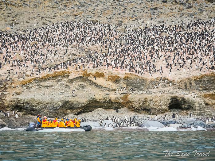 189 8 january kinnes brown thesanetravel.comP1360743