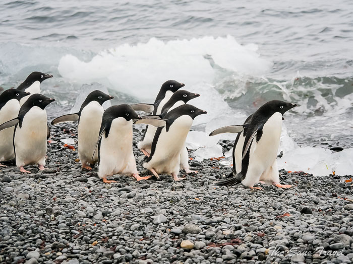 191 8 january kinnes brown thesanetravel.comP1360798