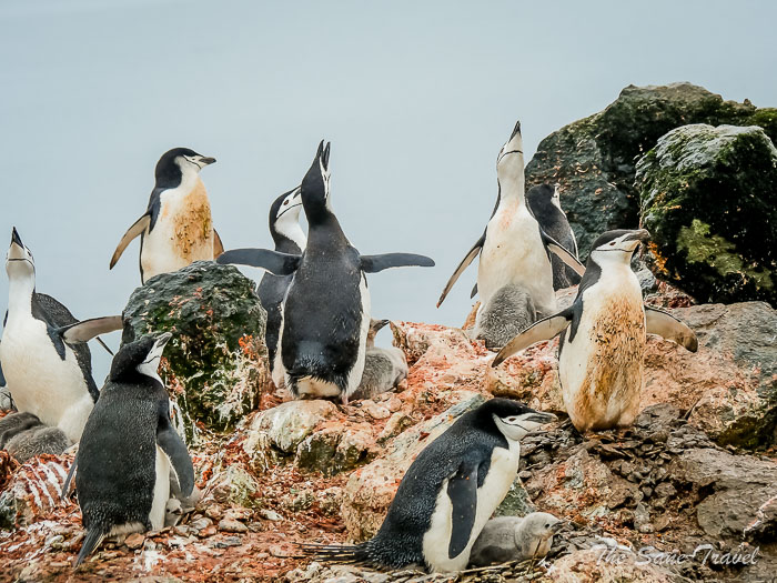 196 9 january aitcho thesanetravel.comP1361189