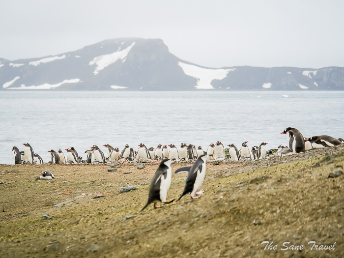 200 9 january aitcho thesanetravel.comP1361272