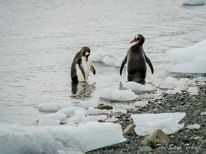 215 9 january aitcho thesanetravel.comP1371919