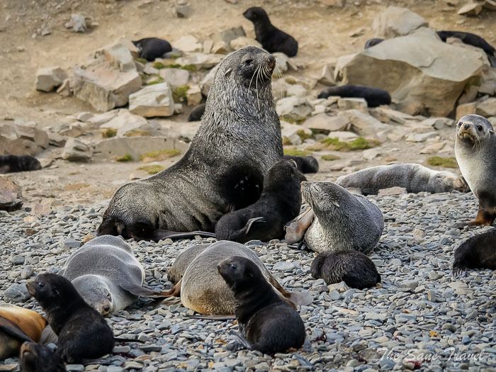 24 stromness thesanetravel.comP1349040