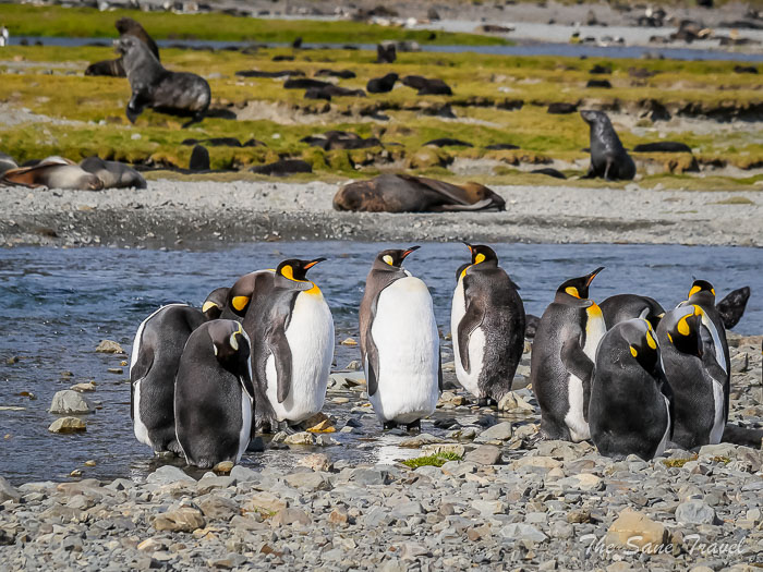 26 stromness thesanetravel.comP1349093