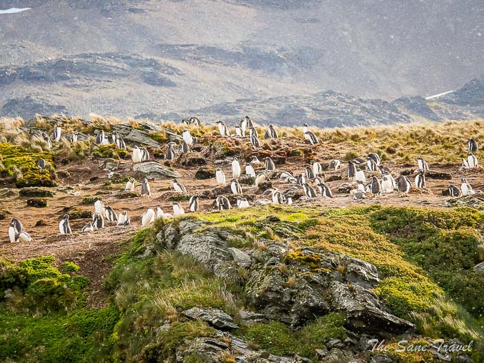 30 stromness thesanetravel.comP1349147