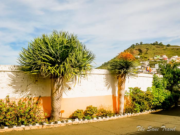 51 arehucas thesanetravel.comP1275818