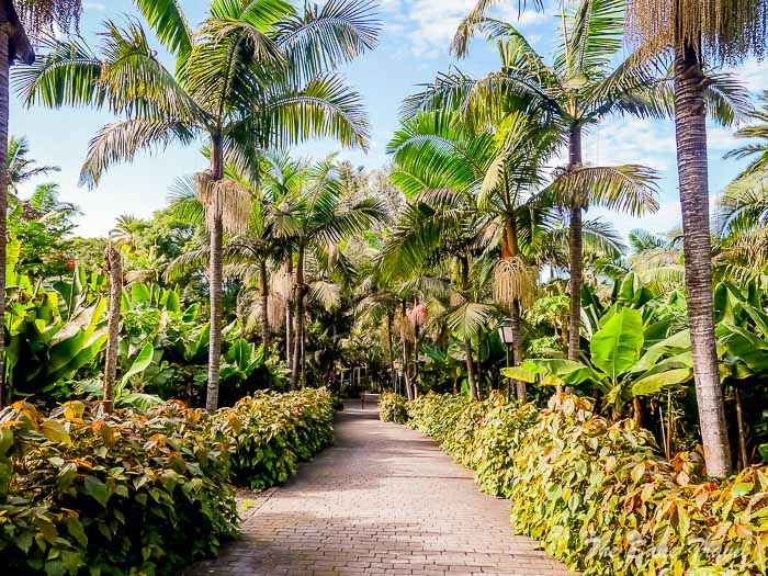 61 arucas garden thesanetravel.comP1276006