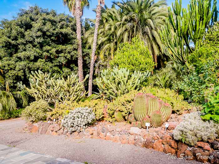 64 arucas garden thesanetravel.comP1276025