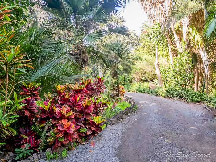 68 arucas garden thesanetravel.comP1276075