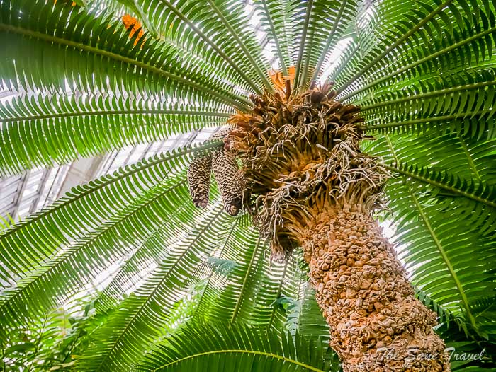 37 botanical thesanetravel.comP1930084