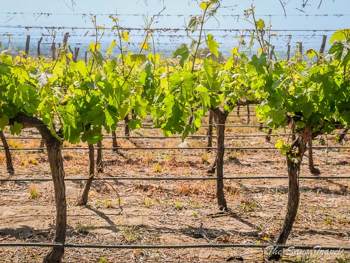 12 piattelli 60thesanetravel.comP1253110