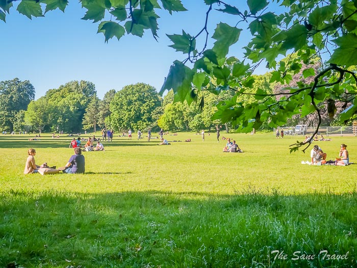 45 bute park cardiff thesanetravel.comP1206051