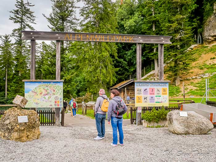 63 bregenz thesanetravel.com P1345994