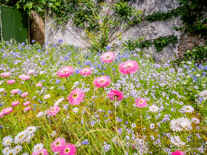 104 lost gardens thesanetravel.comP1228635