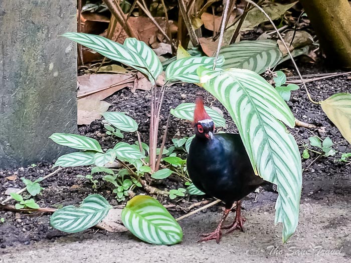 132 eden thesanetravel.comP1228936