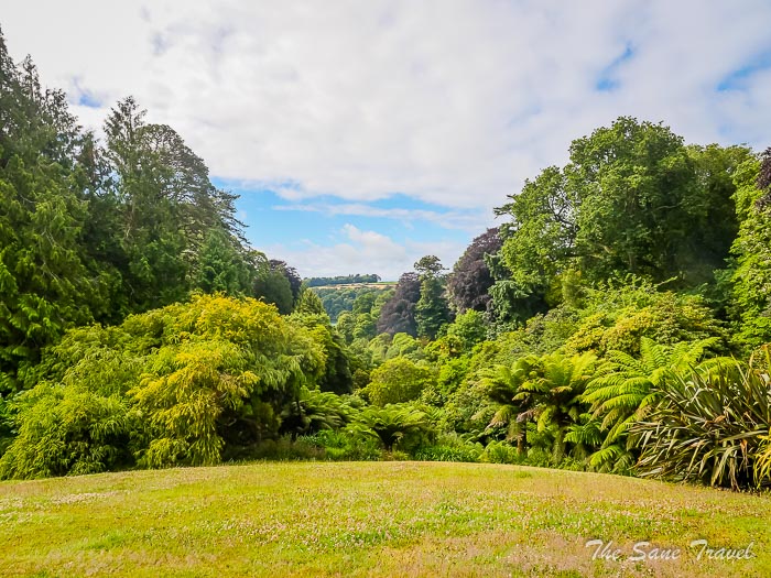 14 trebah garden thesanetravel.comP1217530