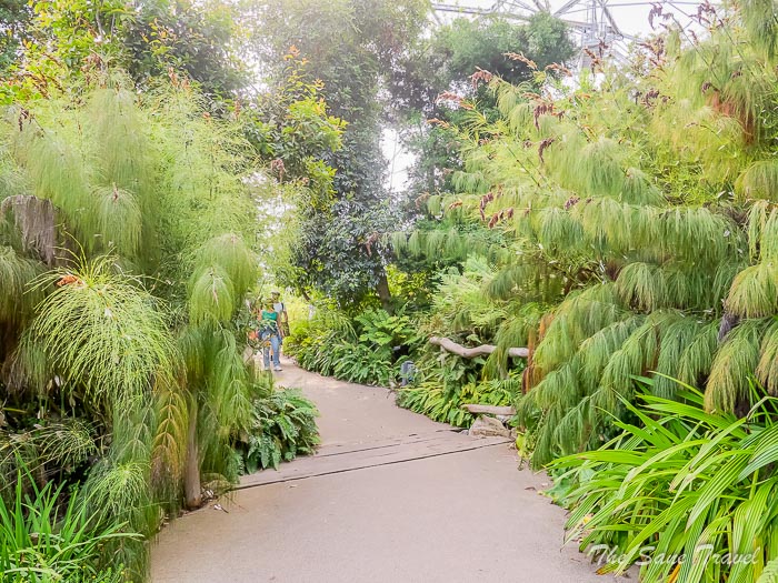 142 eden thesanetravel.comP1239003