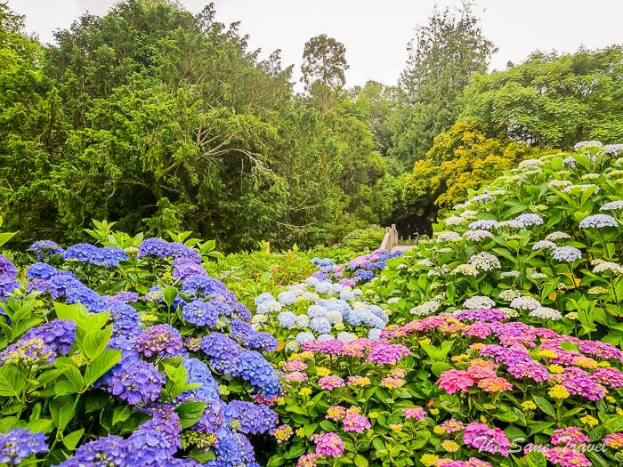 152 trellisick thesanetravel.comP1217890