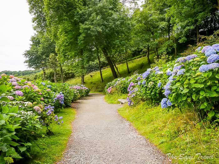 22 trebah garden thesanetravel.comP1217597