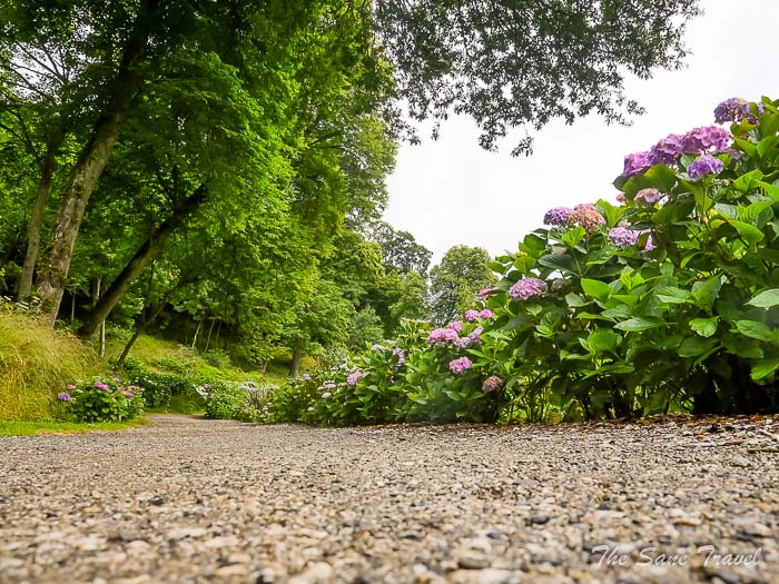 24 trebah garden thesanetravel.comP1217611