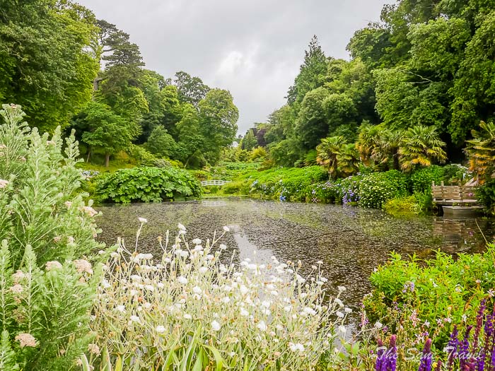 25 trebah garden thesanetravel.comP1217616