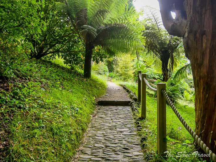 43 glendurgan garden thesanetravel.comP1217702