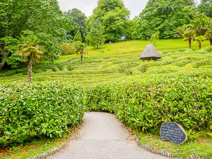 46 glendurgan garden thesanetravel.comP1217728