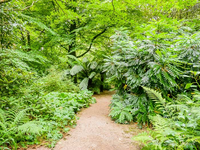 86 trengwainton gardens thesanetravel.comP1228441