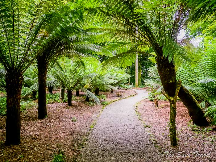 87 trengwainton gardens thesanetravel.comP1228447