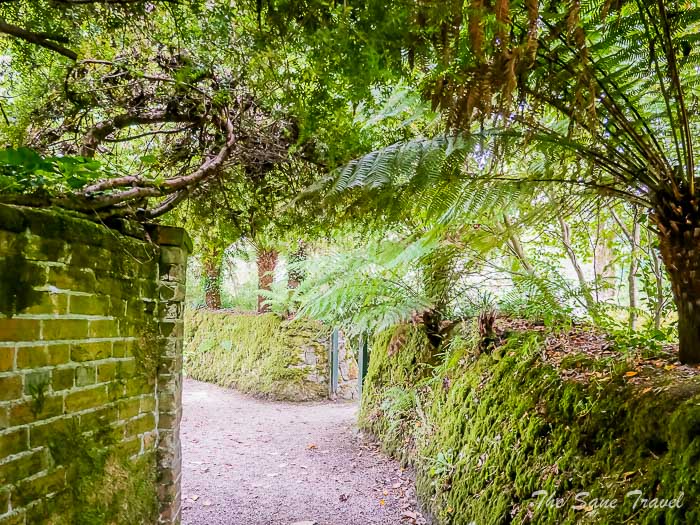 97 trengwainton gardens thesanetravel.comP1228547