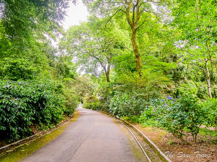 98 trengwainton gardens thesanetravel.comP1228548