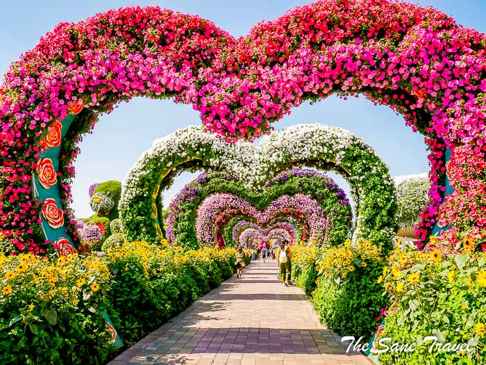 12 miracle garden thesanetravel.com P1157449