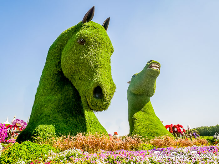 19 miracle garden thesanetravel.com P1157500