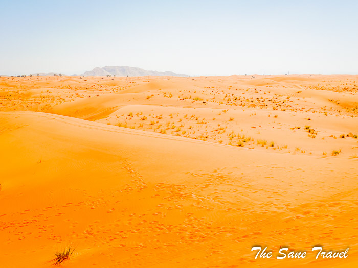 40 desert safari thesanetravel.com P1157664