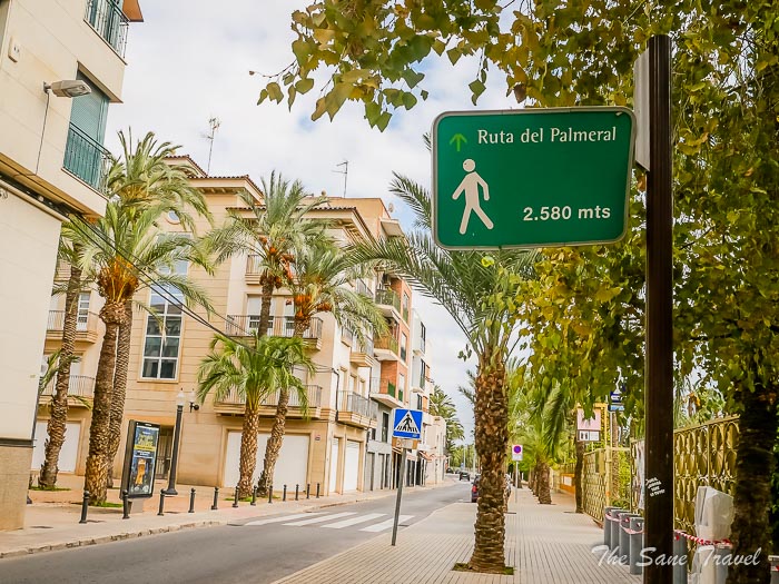 13 palm grove thesanetravel.com P1499313