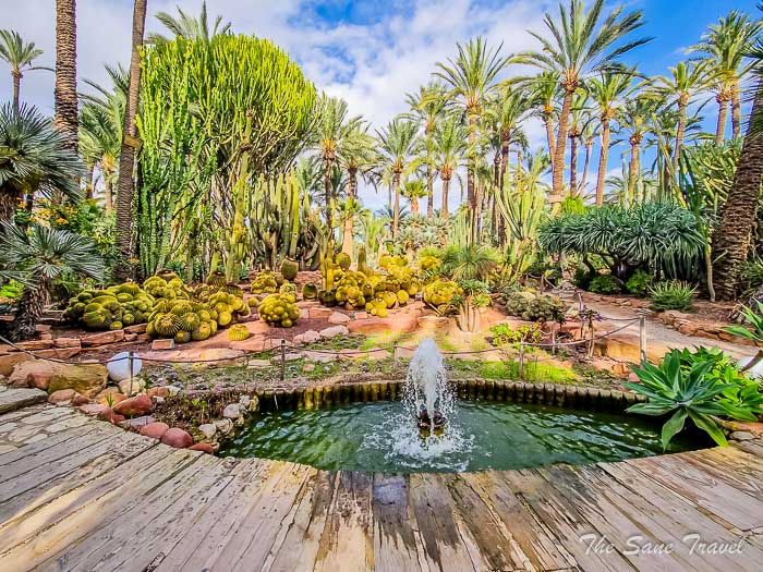 31 huerto park thesanetravel.com 20241116 140938