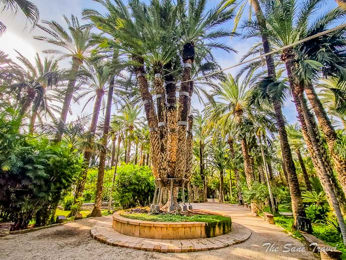 33 huerto park thesanetravel.com 20241116 142251