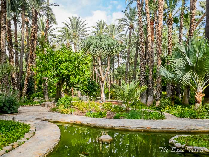 36 huerto thesanetravel.com P1499325