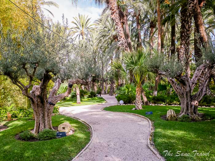 38 huerto thesanetravel.com P1499335