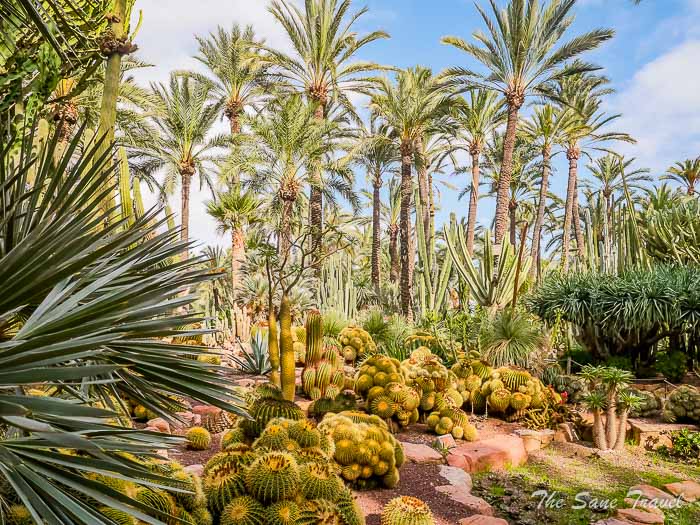 42 huerto thesanetravel.com P1499359