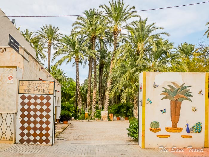 48 huerto thesanetravel.com P1499471