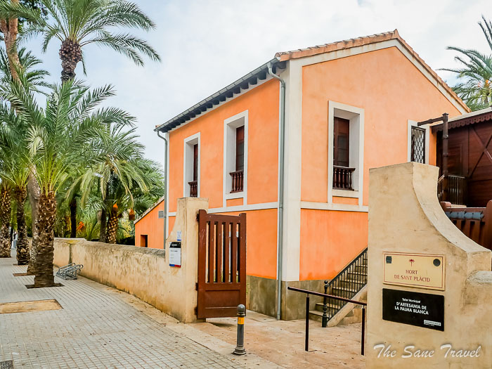 80 palm museum thesanetravel.com P1499481