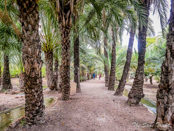 84 palm museum thesanetravel.com P1499297