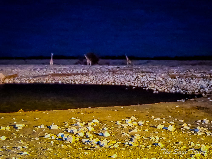 103 okaukueejo etosha thesanetravel.com 20240916 200843