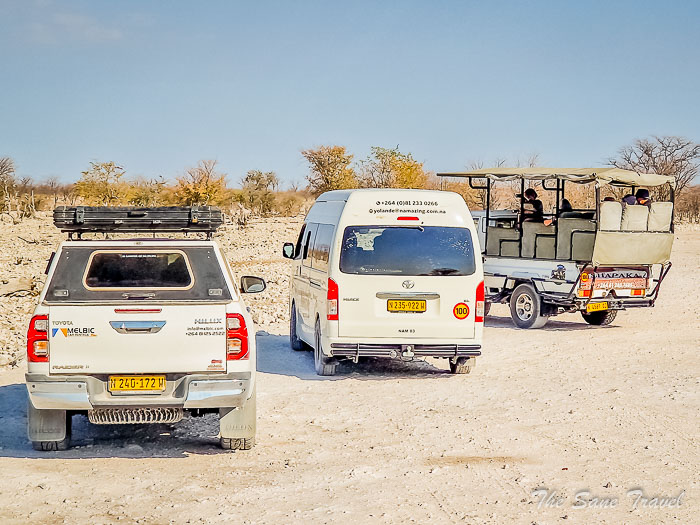 113 vehicles etosha thesanetravel.com 20240917 162726