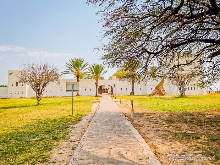 122 namotoni etosha thesanetravel.com 20240918 153352