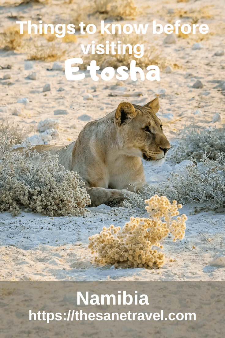 EtoshaS