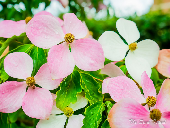 13 northernhay gardens exeterthesanetravel.comP1217322
