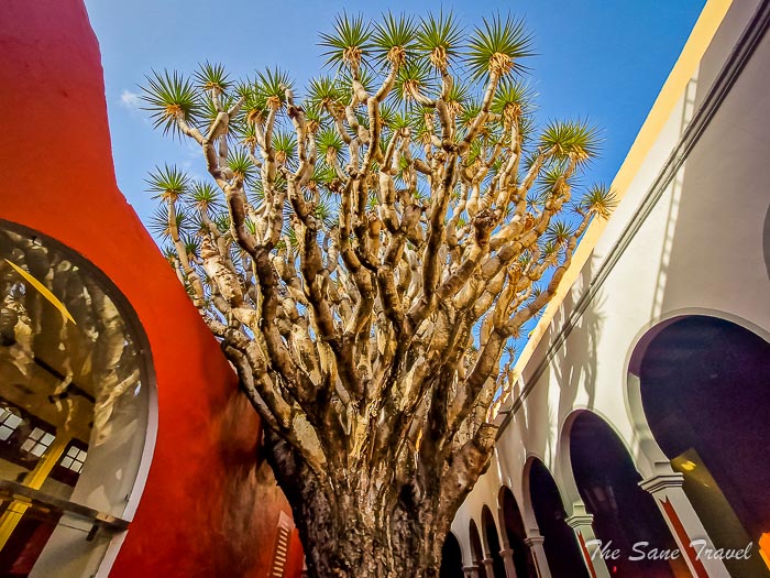 13 galdar thesanetravel.com20231214 101329