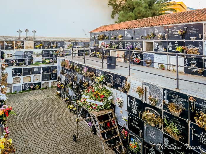 37 san mateo thesanetravel.comP1286668