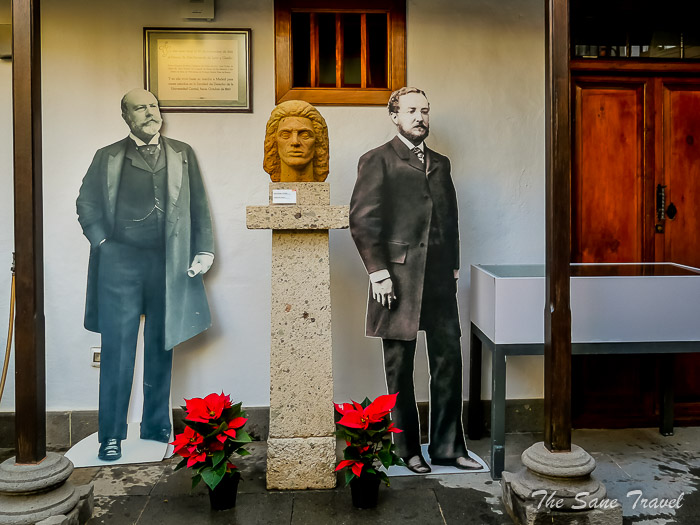 56 telde thesanetravel.comP1286943